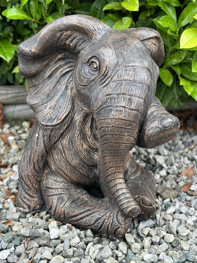 Elephant 