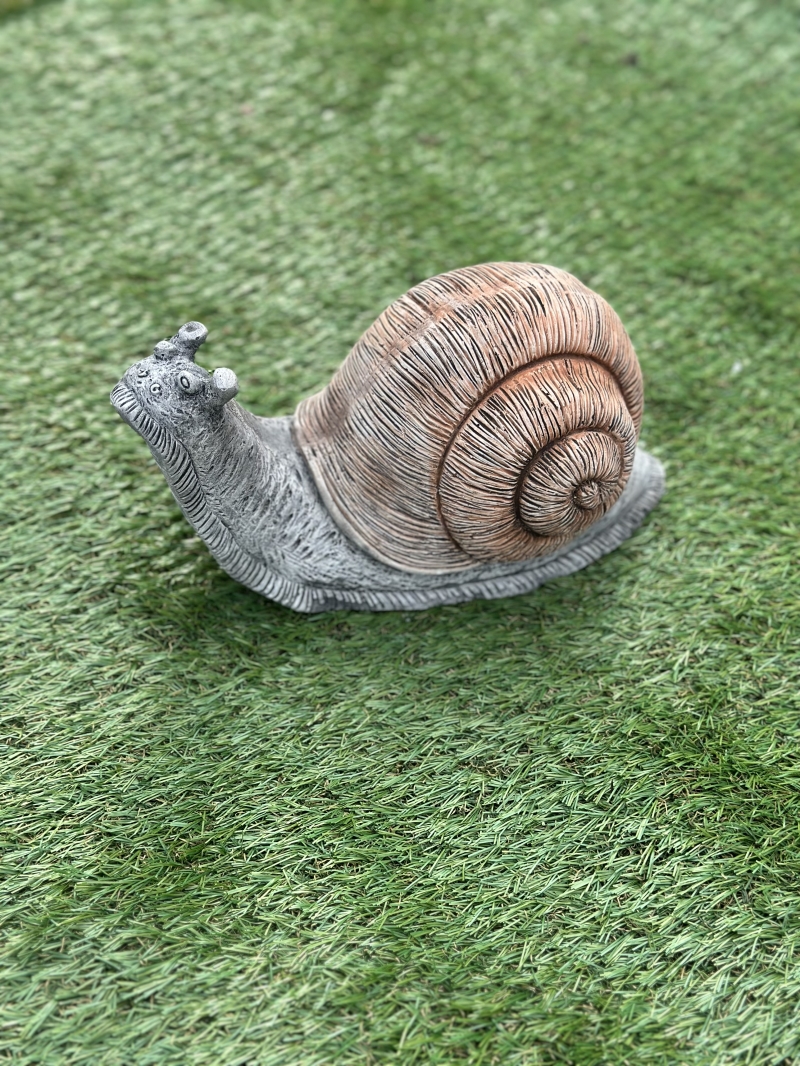 Giant Snail 