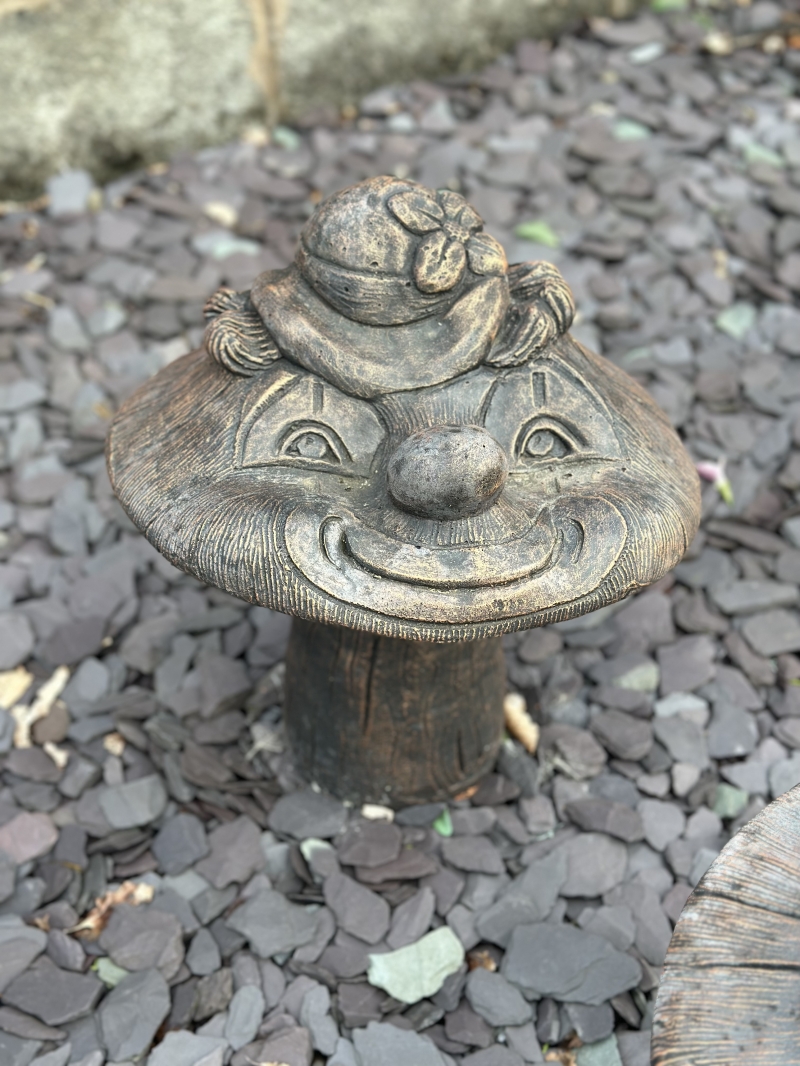 Happy Mushroom 