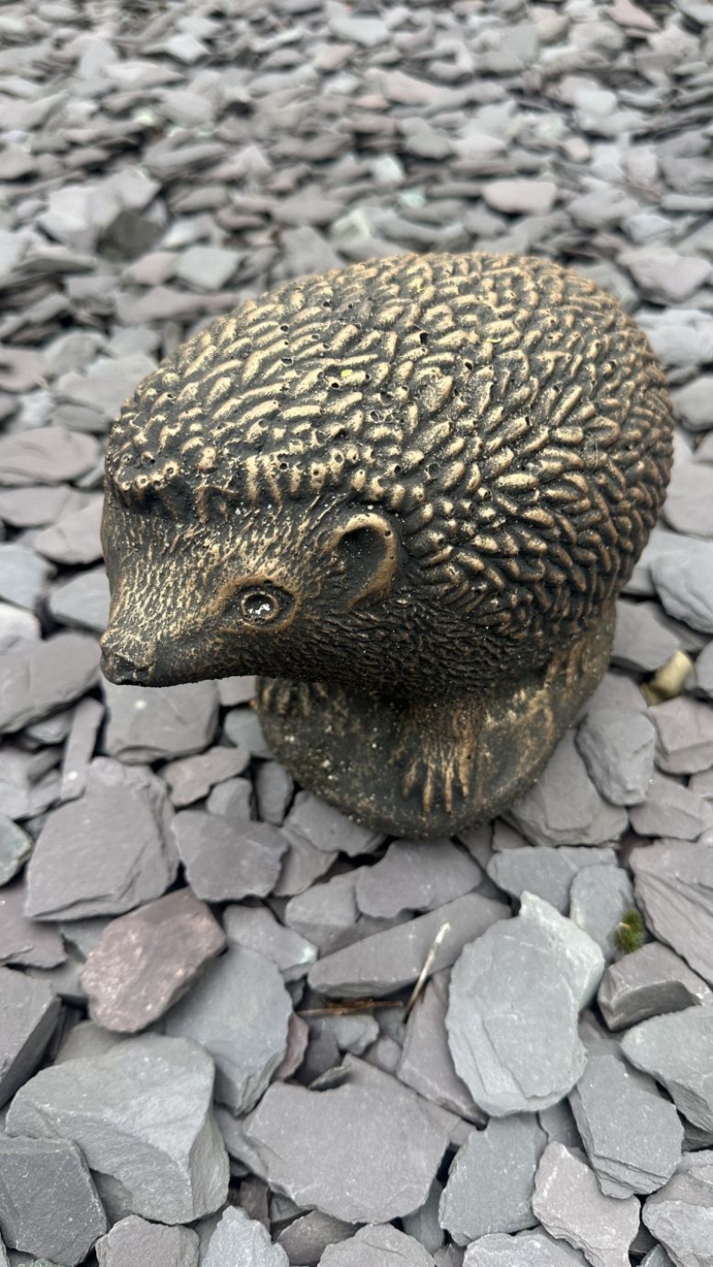 Hedgehog