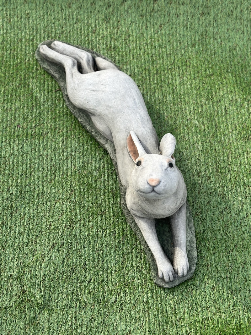 Laying Down Hare 