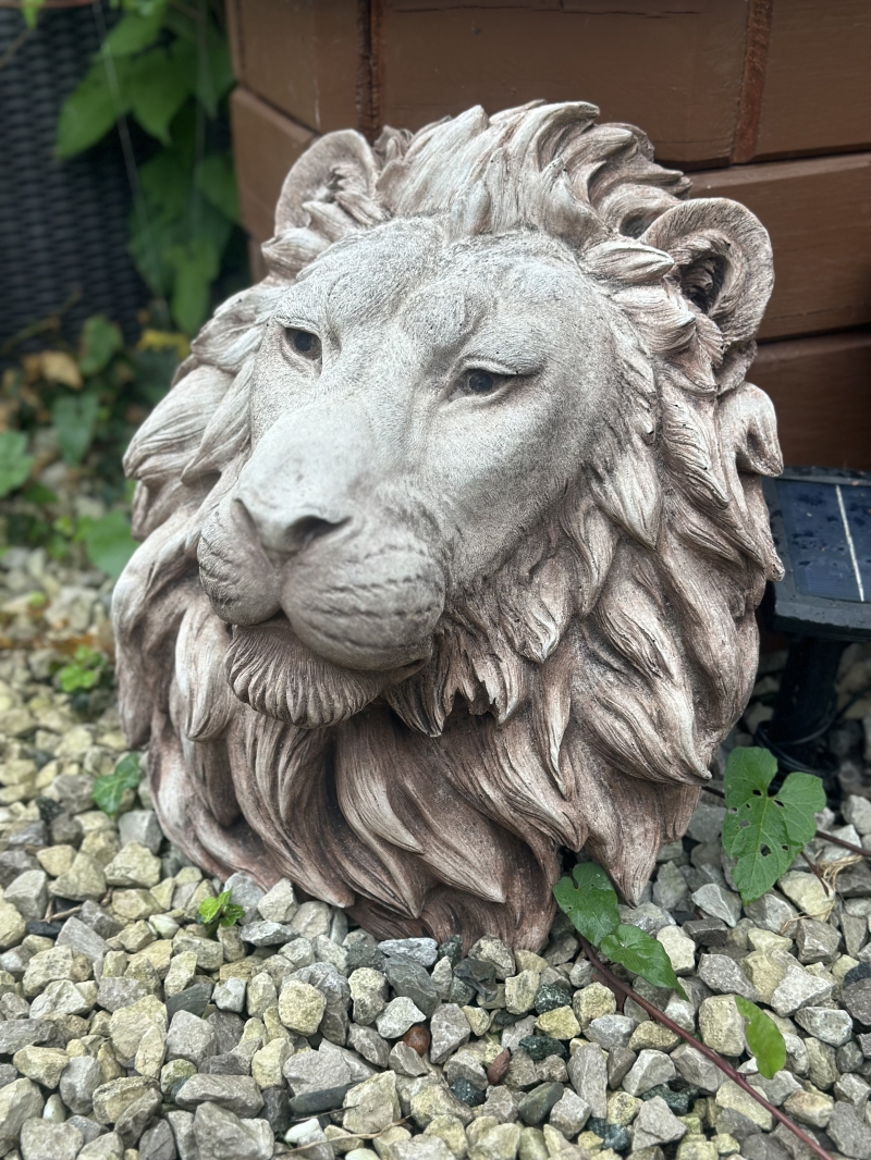 Lion Head 