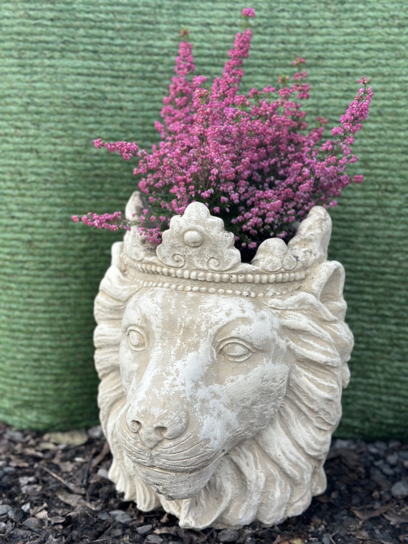 Lion Head Planter 