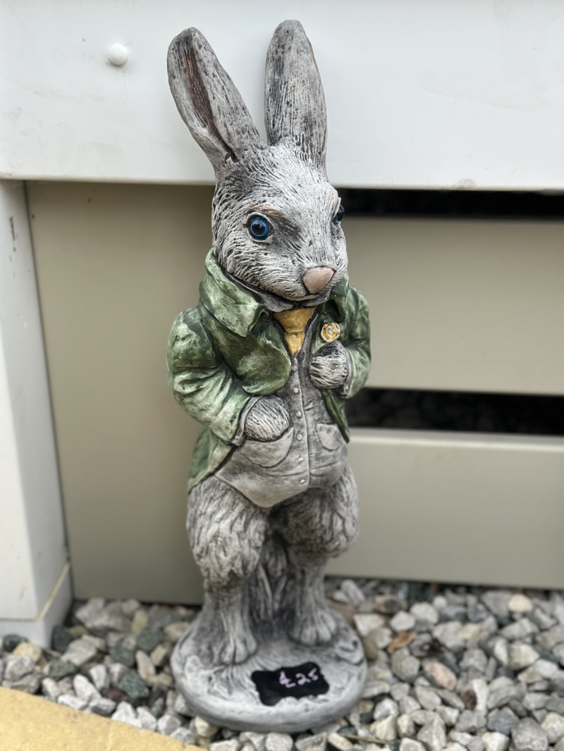 Peter Rabbit Green Jacket 