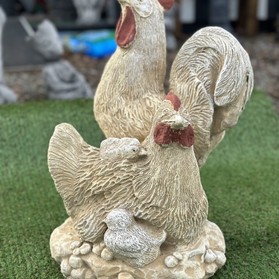 Cock & Hen 