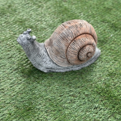 Giant Snail 