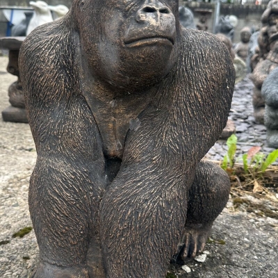 Gorilla 