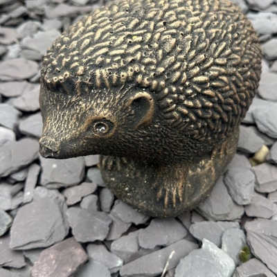 Hedgehog