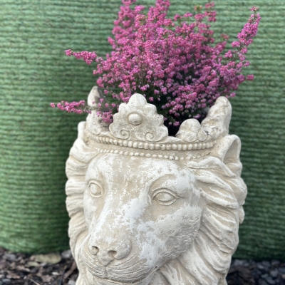 Lion Head Planter 