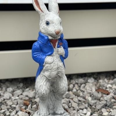 Peter Rabbit blue Jacket 