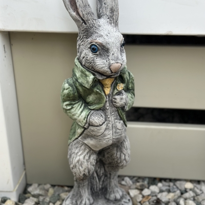 Peter Rabbit Green Jacket 