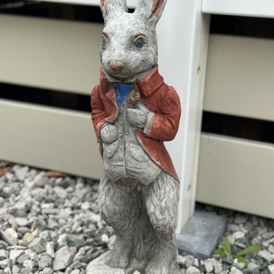 Peter rabbit Red Jacket 