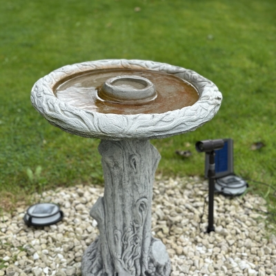 Tree Trunk Bird Bath 