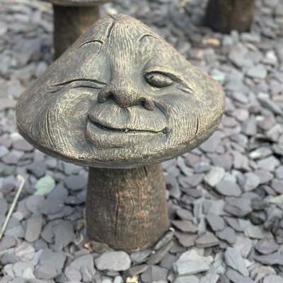 Winking Mushroom 