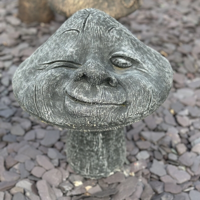 Winking Mushroom