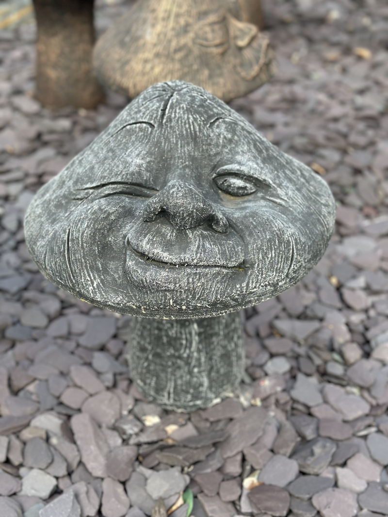 Winking Mushroom